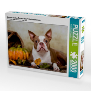 Játék Colored Boston Terrier "Roxy" Herbststimmung (Puzzle) Nicola Kassat