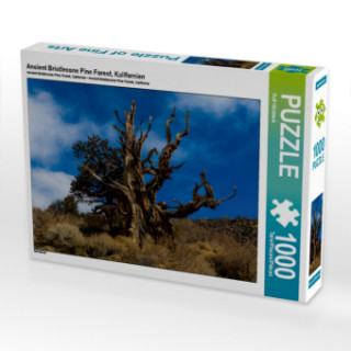 Hra/Hračka Ancient Bristlecone Pine Forest, Kalifornien (Puzzle) Rolf Hitzbleck