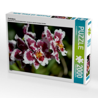 Gra/Zabawka Orchideen (Puzzle) SchnelleWelten