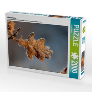 Gra/Zabawka Wintermakro (Puzzle) SchnelleWelten