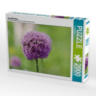 Gra/Zabawka ALLIUM Makro (Puzzle) SchnelleWelten