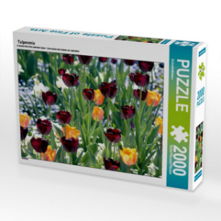 Gioco/giocattolo Tulpenmix (Puzzle) SchnelleWelten