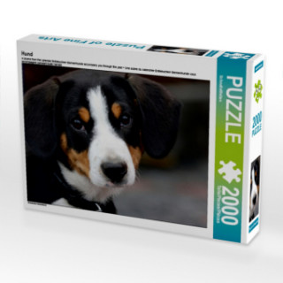 Gioco/giocattolo Hund (Puzzle) SchnelleWelten