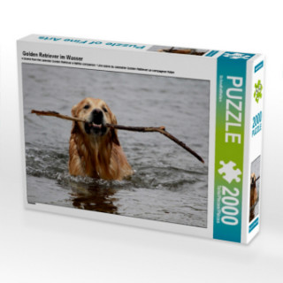 Gra/Zabawka Golden Retriever im Wasser (Puzzle) SchnelleWelten