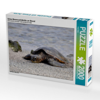 Game/Toy Grüne Meeresschildkröte am Strand (Puzzle) Uwe Bade