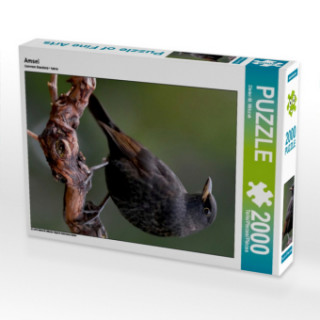 Igra/Igračka Amsel (Puzzle) Dieter-M. Wilczek