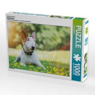 Hra/Hračka Ein Motiv aus dem Kalender Bullterrier (Puzzle) Sven Schubert