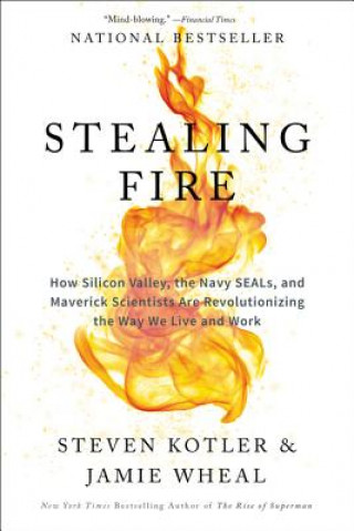 Kniha Stealing Fire Steven Kotler