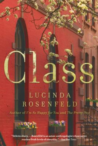 Kniha Class Lucinda Rosenfeld