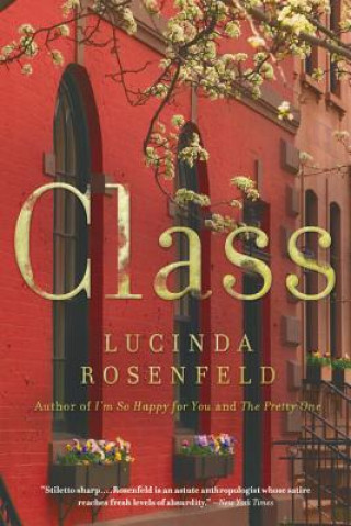 Книга Class Lucinda Rosenfeld