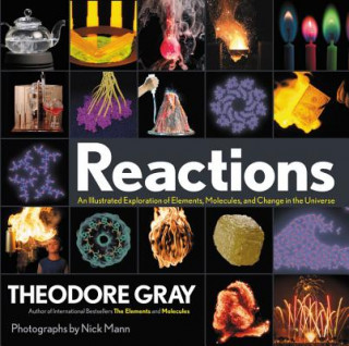 Kniha Reactions Theodore Gray