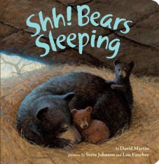 Buch Shh! Bears Sleeping David Martin