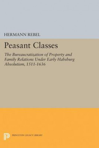 Buch Peasant Classes Hermann Rebel