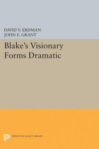 Książka Blake's Visionary Forms Dramatic David V. Erdman