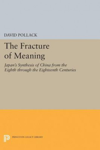 Kniha Fracture of Meaning David Pollack