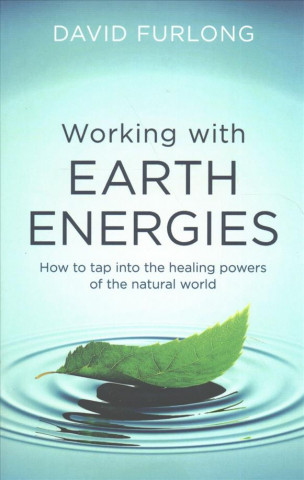 Kniha Working With Earth Energies David Furlong