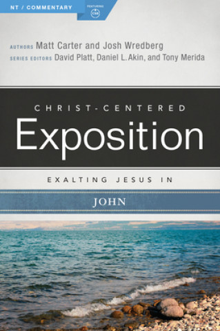 Kniha Exalting Jesus in John Matt Carter