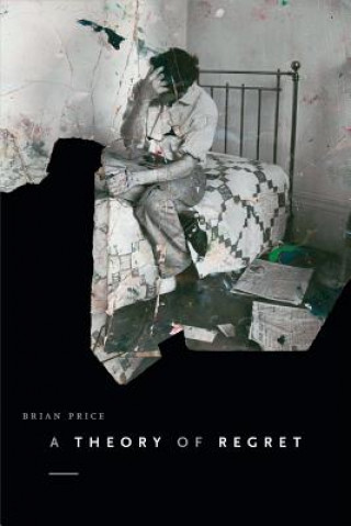 Kniha Theory of Regret Brian Price