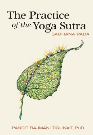 Könyv Practice of the Yoga Sutra Rajmani Tigunait
