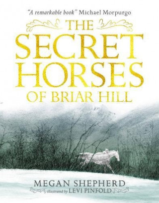 Kniha Secret Horses of Briar Hill Megan Shepherd