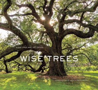 Könyv Wise Trees Diane Cook