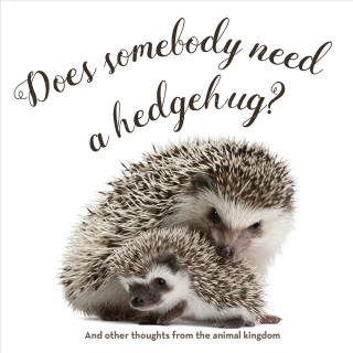 Kniha Does Somebody Need a Hedgehug? Anita Wood