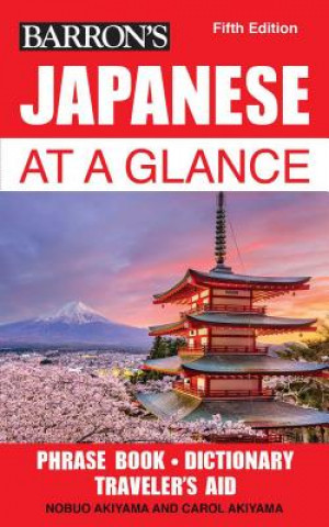 Kniha Japanese at a Glance Nobuo Akiyama