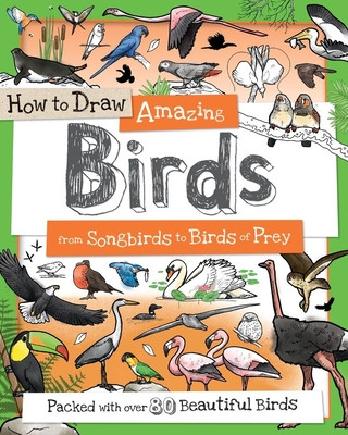 Kniha How to Draw Amazing Birds: From Songbirds to Birds of Prey Fiona Gowen