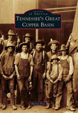 Könyv Tennessee's Great Copper Basin Harriet Frye