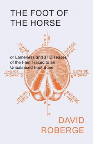 Kniha FOOT OF THE HORSE OR LAMENESS David Roberge