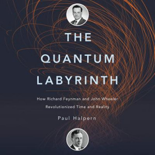 Audio The Quantum Labyrinth: How Richard Feynman and John Wheeler Revolutionized Time and Reality Paul Halpern Phd