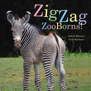 Könyv Zigzag Zooborns!: Zoo Baby Colors and Patterns Andrew Bleiman