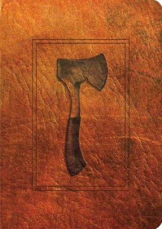 Книга Hatchet Gary Paulsen