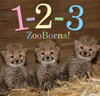 Kniha 1-2-3 Zooborns! Andrew Bleiman