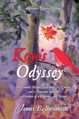 Buch Koyo's Odyssey James E. Stevenson