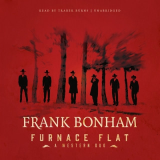 Audio Furnace Flat: A Western Duo Frank Bonham