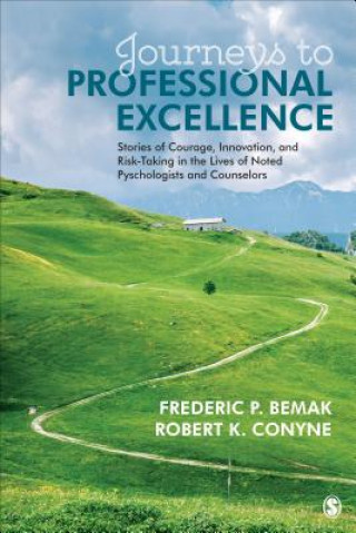 Książka Journeys to Professional Excellence Frederic P. Bemak