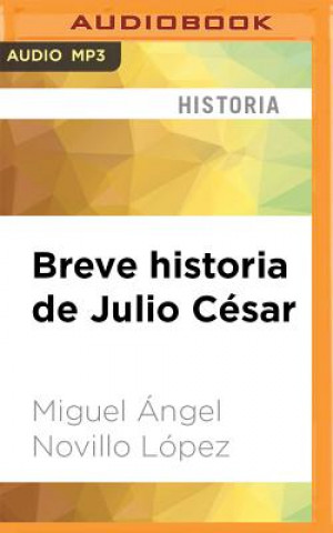 Digital SPA-BREVE HISTORIA DE JULIO  M Miguel Angel Lopez