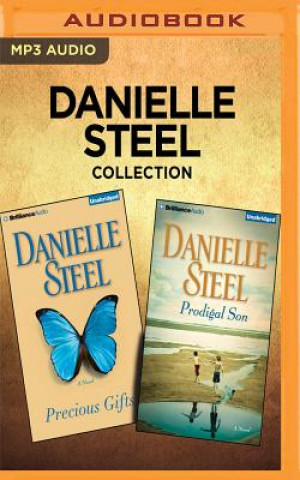 Digital DANIELLE STEEL COLL - PRECI 2M Danielle Steel