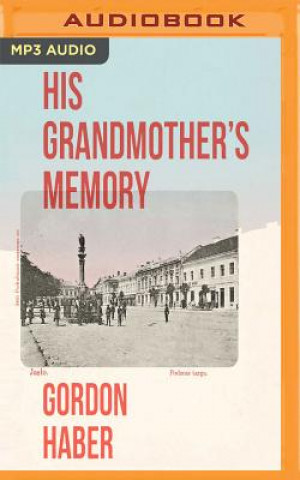 Digital HIS GRANDMOTHERS MEMORY      M Gordon Haber