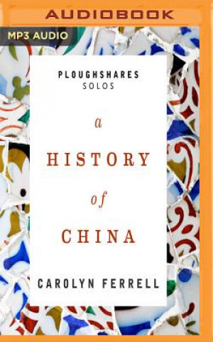 Digital HIST OF CHINA                M Carolyn Ferrell