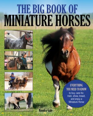 Kniha Big Book of Miniature Horses Kendra Gale