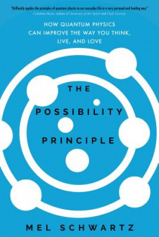 Kniha Possibility Principle Mel Schwartz