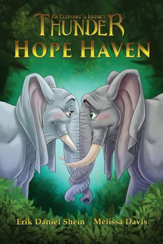 Kniha Hope Haven Erik Daniel Shein