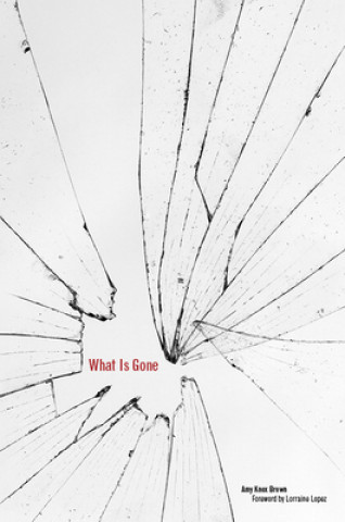 Knjiga What Is Gone Amy Knox Brown