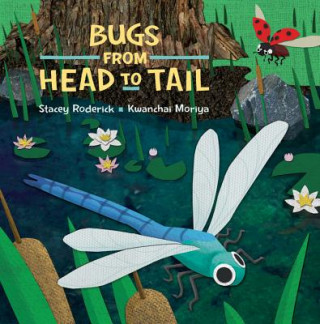 Książka Bugs from Head to Tail Stacey Roderick