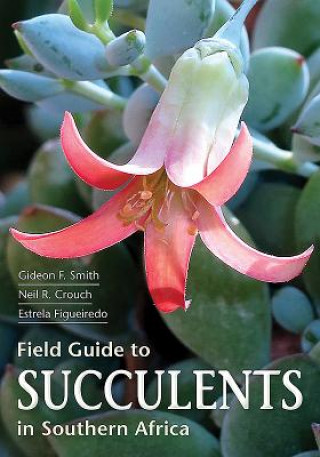 Kniha Field Guide to Succulents of Southern Africa Estrela Figueiredo