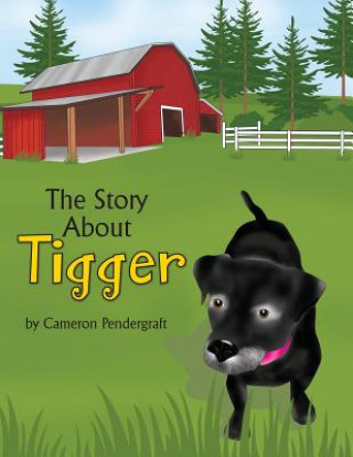 Knjiga Story About Tigger Cameron Pendergraft