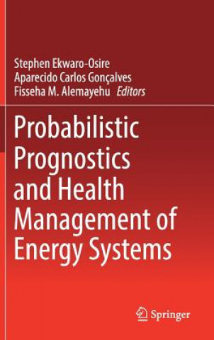 Kniha Probabilistic Prognostics and Health Management of Energy Systems Stephen Ekwaro-Osire