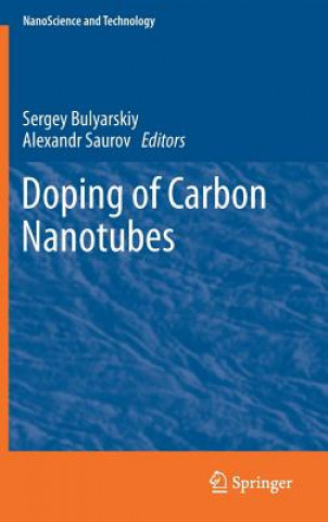 Könyv Doping of Carbon Nanotubes Sergey Bulyarskiy